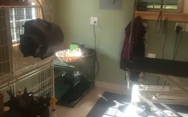 Lightfoot Dog Grooming in Higganum, CT