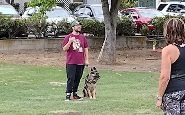 Markim Pet Resort in San Diego, CA