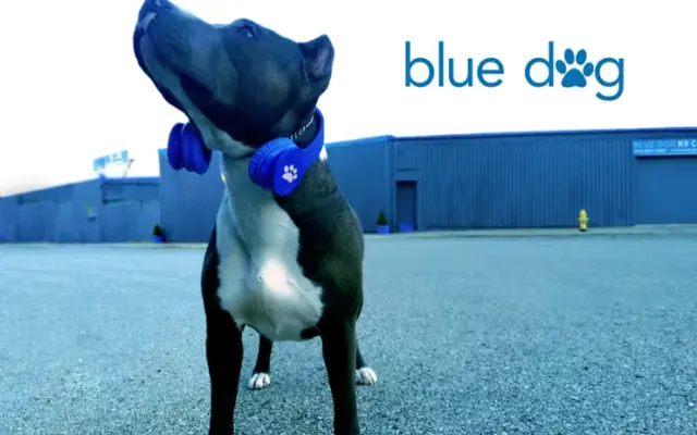 Blue Dog K9 Care in Cincinnati, OH