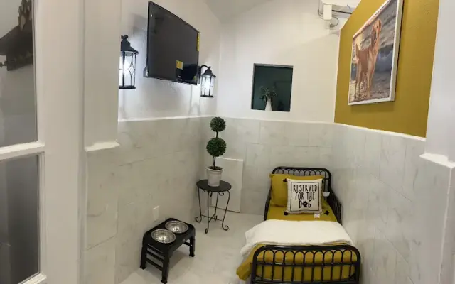 Uppity Pet Salon & Resort in Alvin, TX