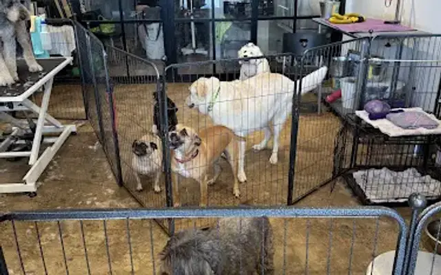 PawTenders in Dallas, TX