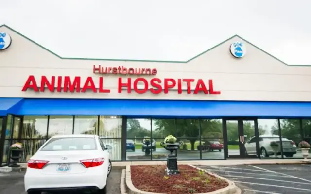 Hurstbourne Animal Hospital in Louisville, KY