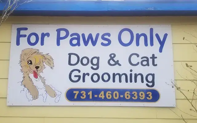 For Paws Only in Ripley, TN
