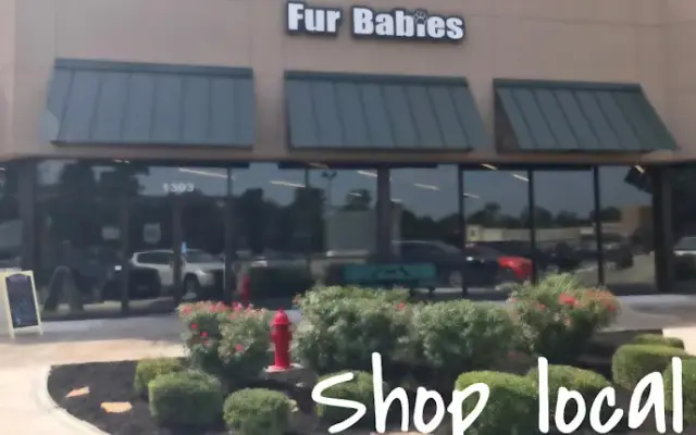 Fur Babies Pet Spa & Market in Kingwood, TX