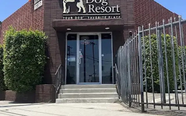 Dog Resort in North Hollywood, CA