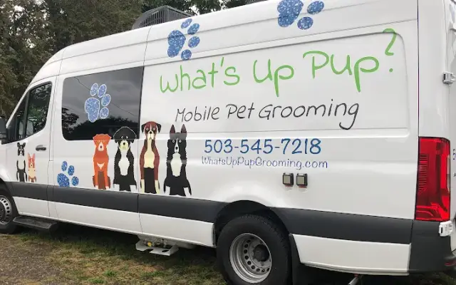 What's Up Pup in Portland, OR