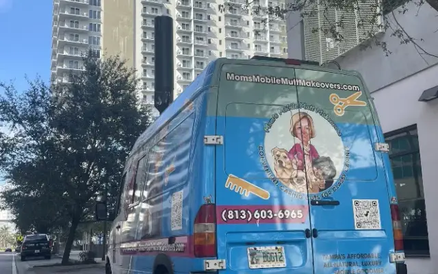Mom's Mutt Mansion and Mobile Makeovers in Tampa, FL