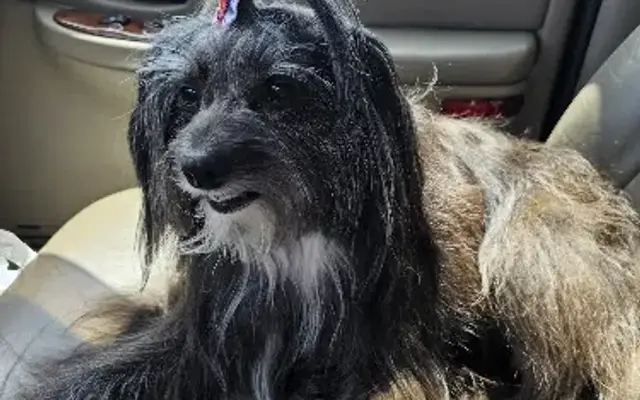 Natalie's Pet Palace in Benton, KY