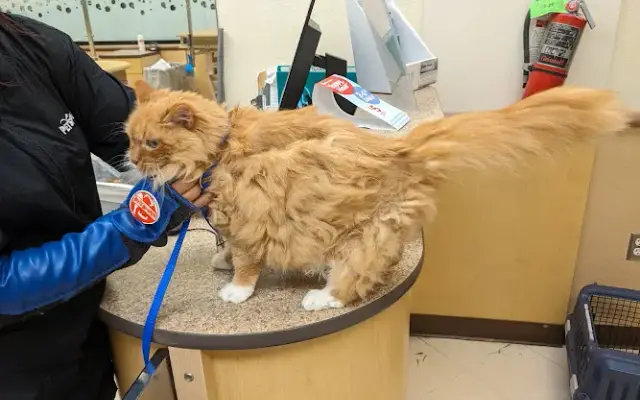 PetSmart Grooming in Salt Lake City, UT