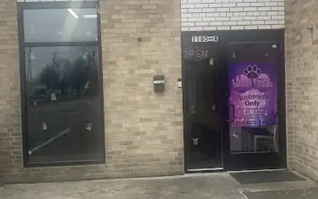 WashNTailz pet grooming llc in Lincoln Park, MI