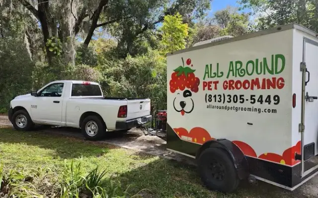 All Around Pet Grooming in Plant City, FL
