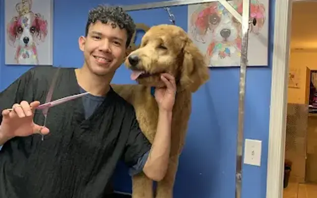 Canine Cuts Pet Grooming in Philadelphia, PA