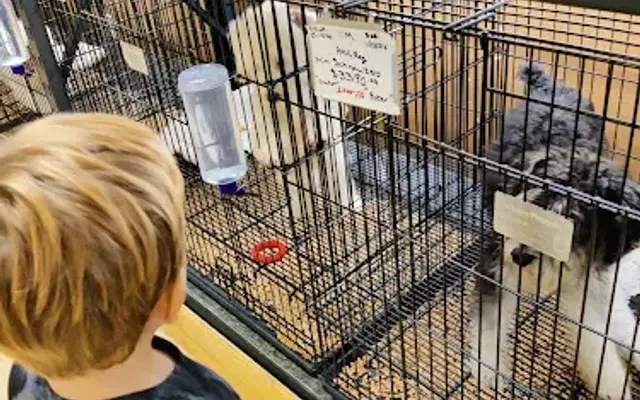 Little Paws Dog Shop LLC in Palmyra, PA