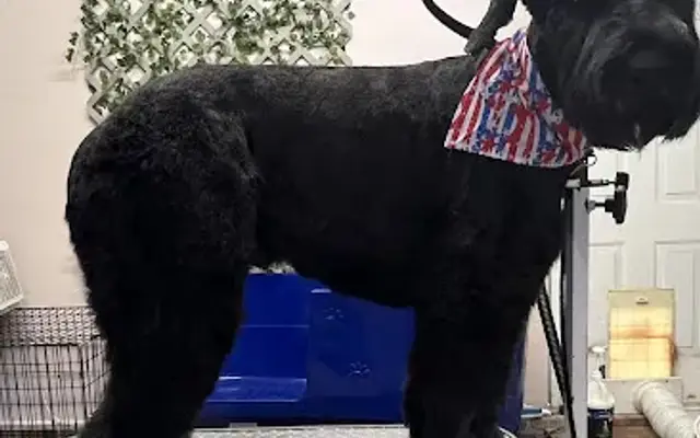 JOT Grooming in High Point, NC