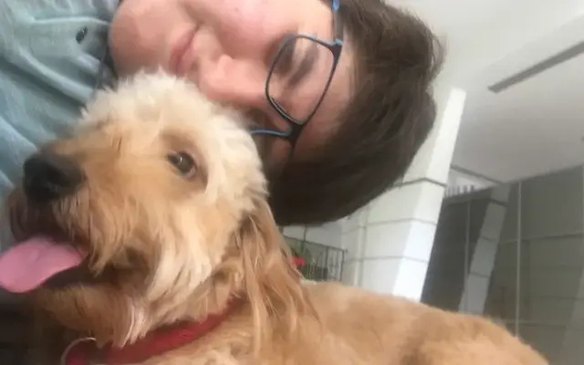 Nirvan's dog walker, Groomer , sitter in Shrewsbury, MA