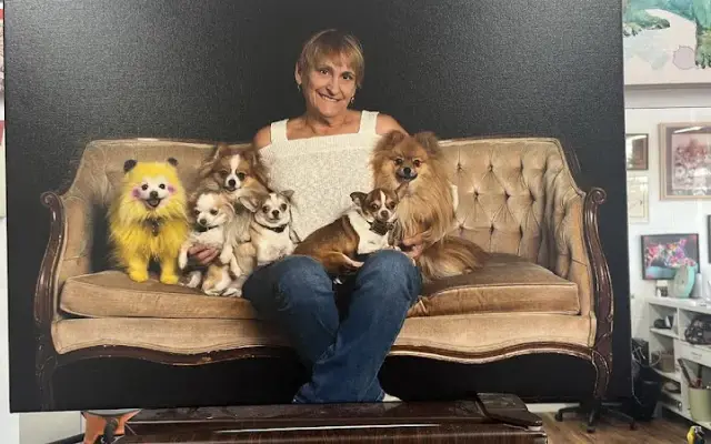 Dogs Delight | Pet Grooming in Folsom, CA