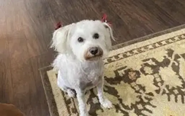 Jerry's Paw Spaw in North Richland Hills, TX