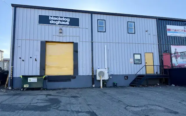 blackdog doghaus in Staten Island, NY