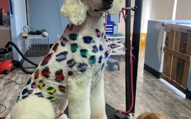 Doggie Style Grooming LLC in Hallam, PA