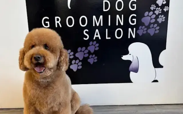 Mr. Nice Dog Grooming Salon in Natick, MA