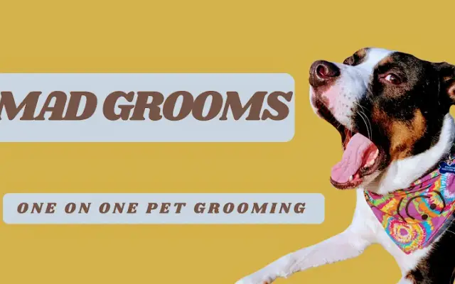 Mad Grooms LLC in Loganville, GA