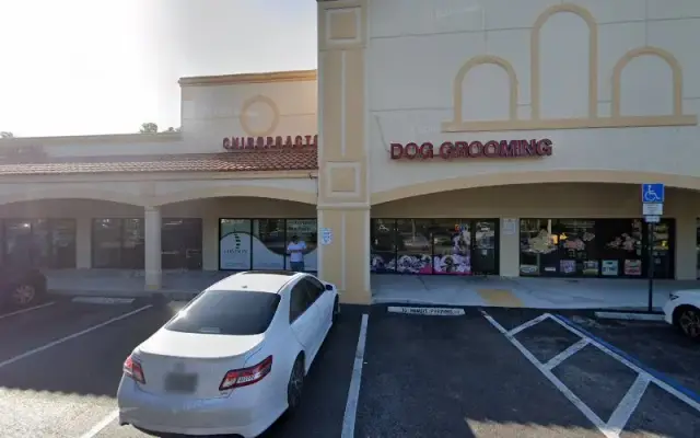 Maxy Pets in Margate, FL