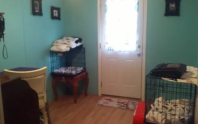 The DOG Parlor in Troy, NC