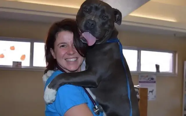 VCA All Pets Animal Hospital Salinas in Salinas, CA