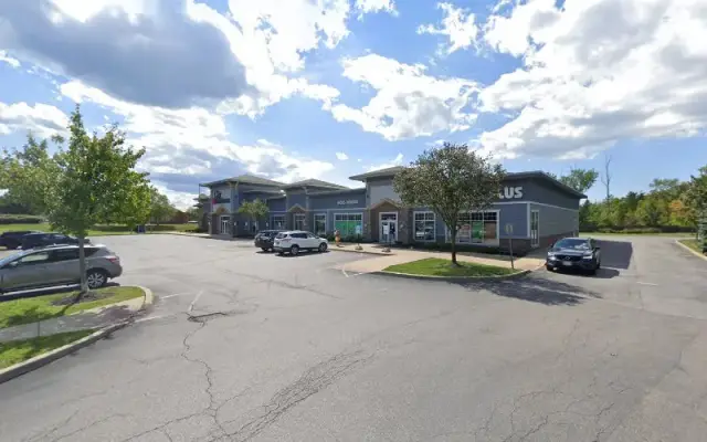 Pet Supplies Plus Depew Grooming in Depew, NY