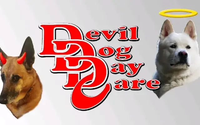 Devil Dog Day Care in North Branford, CT