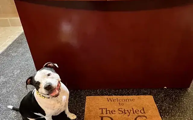 The Styled Dog in Alden, MN