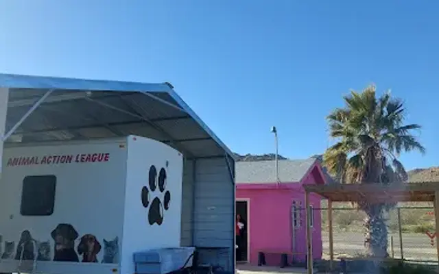Animal Action League in Joshua Tree, CA