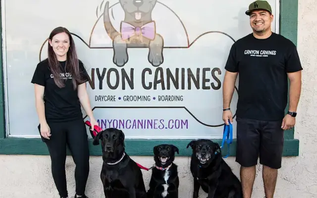 Canyon Canines in Canyon Lake, CA