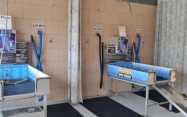 Buddys Dog Wash in Clio, MI