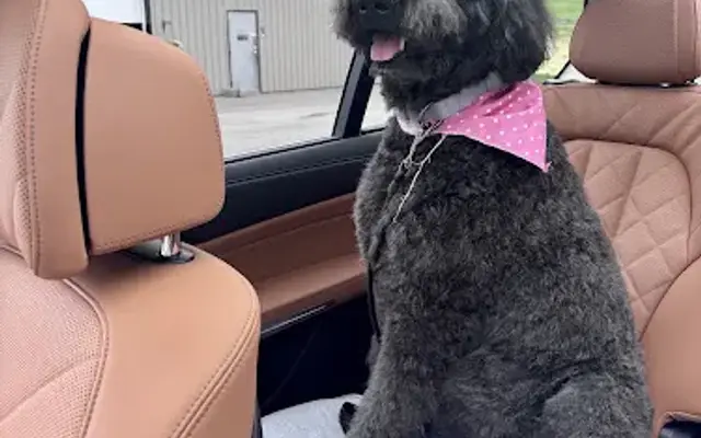 Montie's Grooming & Goods in Mars, PA