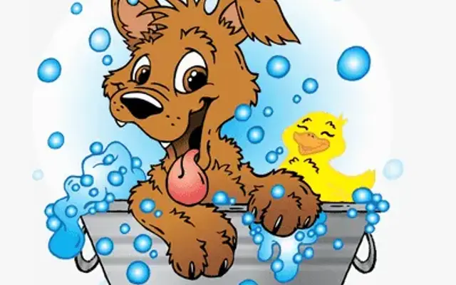 Desert Diamonds Mobile Pet Spa in Peoria, AZ