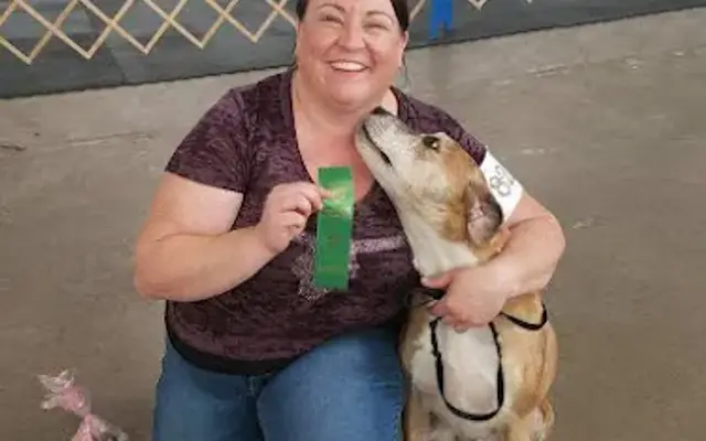 Paw Partner Dog Training & Grooming in Noblesville, IN
