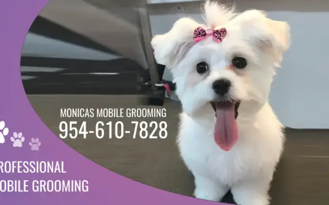 Monicas Mobile Grooming in Southwest Ranches, FL