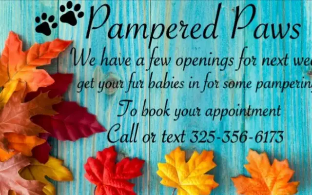 Pampered Paws Stephenville in Stephenville, TX