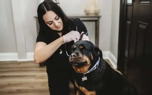 Pooch Pawdicures in Lutz, FL