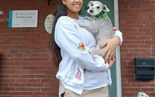 K-9 Creations Pet Grooming Studio in Laureldale, PA