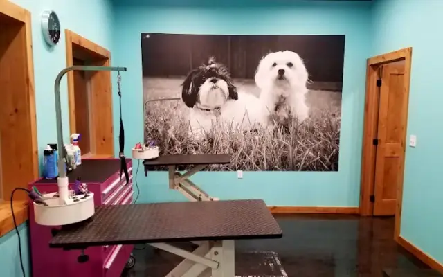 Pampered Pets Retreat & Spa in Kanawha, IA