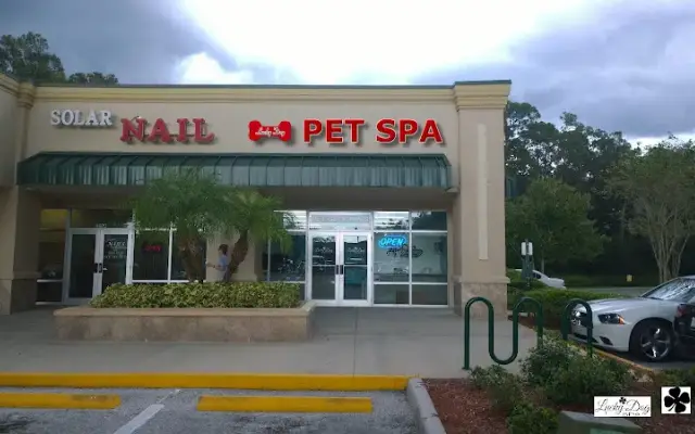 Lucky Dog Spa in Palm Harbor, FL