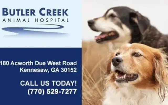 Butler Creek Animal Hospital in Kennesaw, GA