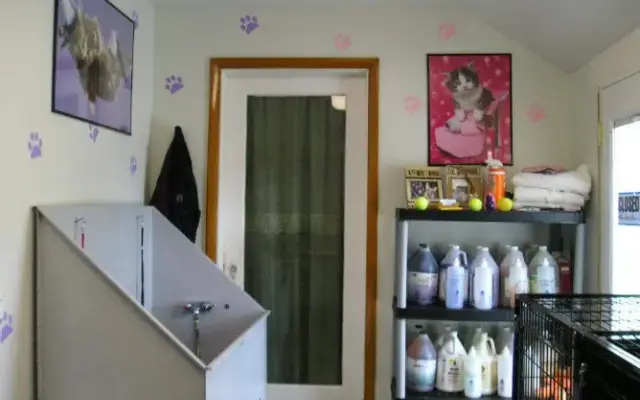 Angels With Paws Pet Grooming in Lima, OH