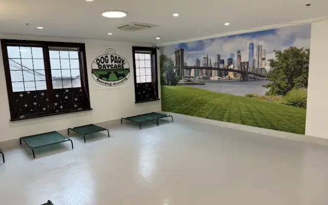 Dogpark Daycare Boarding &Grooming in Brooklyn, NY
