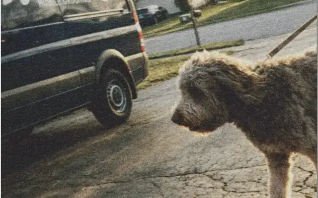Hydrodog West Nashville - Mobile Dog Grooming in Nashville, TN