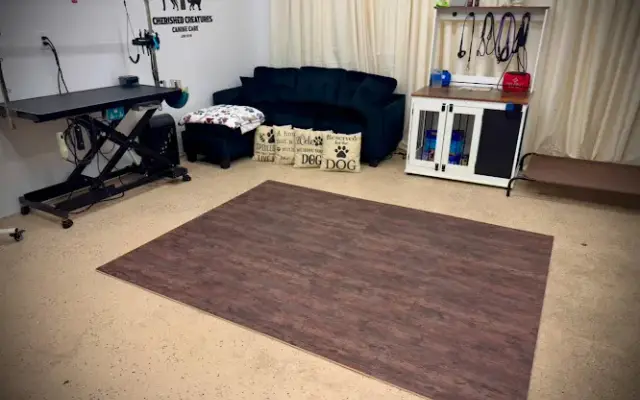 Cherished Creatures Canine Care in Conroe, TX