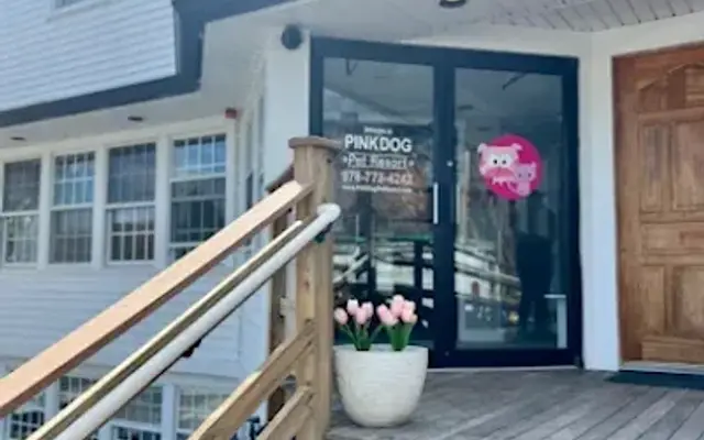 PinkDog Pet Resort | Grooming & Spa in Harvard in Harvard, MA