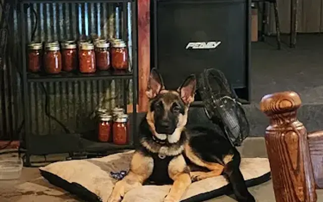 K-9 Klippers in Aurora, MO